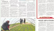 澳门管家婆三期必出一期